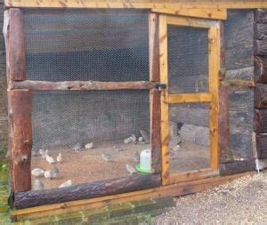 best quail coop design|5 Best Quail Cages That Make Raising Quail Easy